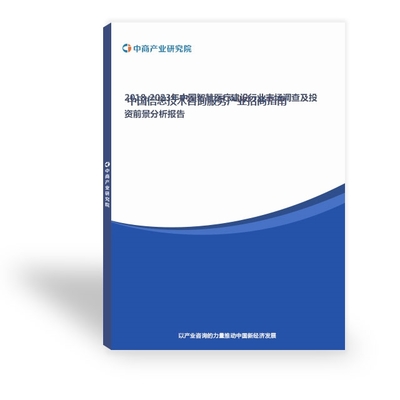 現代社會中的電子信息報告與信息技術咨詢服務 價值、挑戰與前景