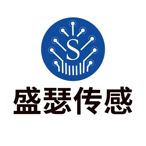 成都盛瑟傳感技術(shù) 引領(lǐng)信息技術(shù)咨詢服務新浪潮